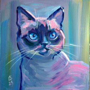 Siamese cat portrait on a blue background