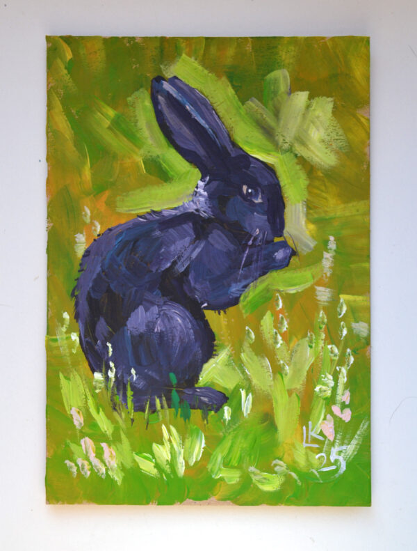 Midnight Rabbit in the Green Field