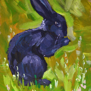 Midnight Rabbit in the Green Field