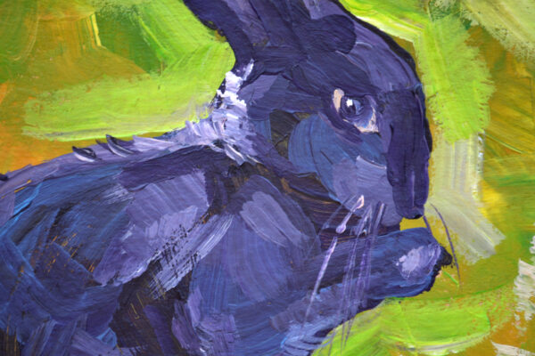 Midnight Rabbit in the Green Field
