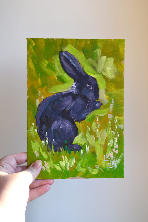 Midnight Rabbit in the Green Field