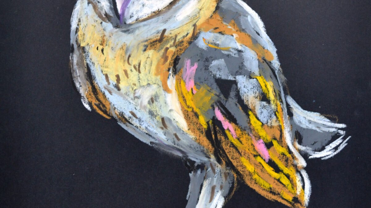 Barn Owl on Black. Oil Pastel on Paper. – Lada Kholosho