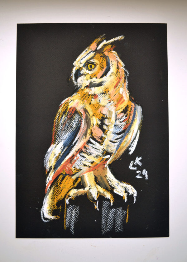 Original oil pastel painting "Great Horned Owl in Profile" by Lada Kholosho – bold wildlife art showcasing a majestic owl with vibrant colors against a deep black background.