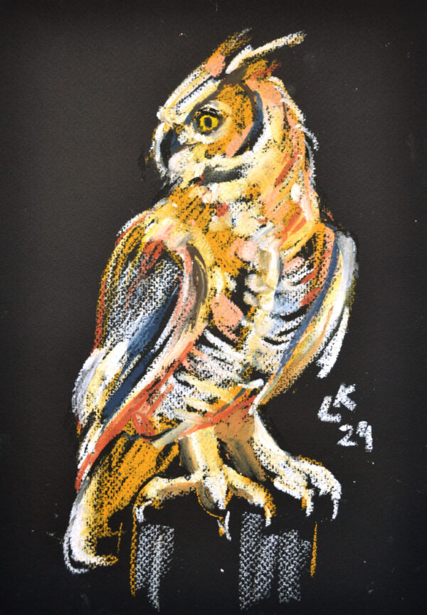 Original oil pastel painting "Great Horned Owl in Profile" by Lada Kholosho – bold wildlife art showcasing a majestic owl with vibrant colors against a deep black background.